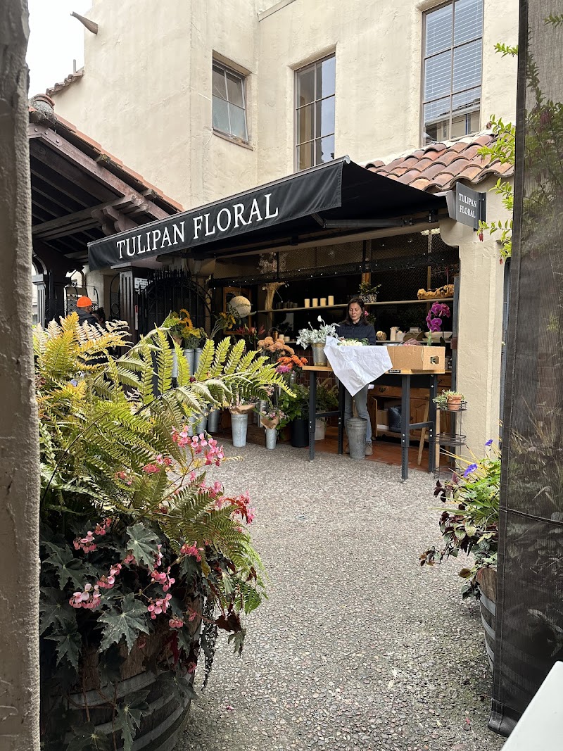 Photo of Tulipan Floral