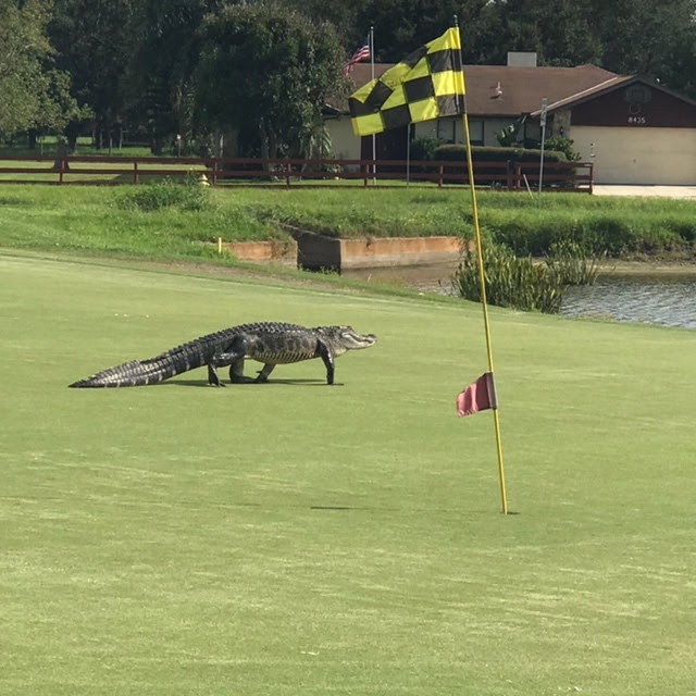 Buffalo Creek Golf Course photo 4