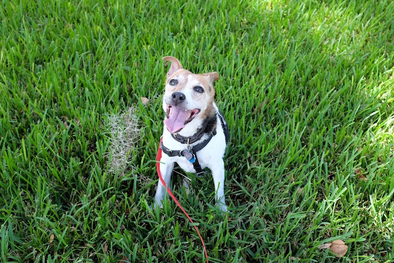 Timberlane Pet Hospital & Resort photo 5