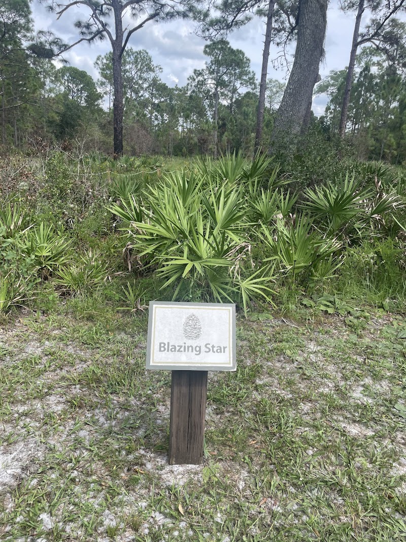 Photo of Heartwood Preserve Conservation Cemetery