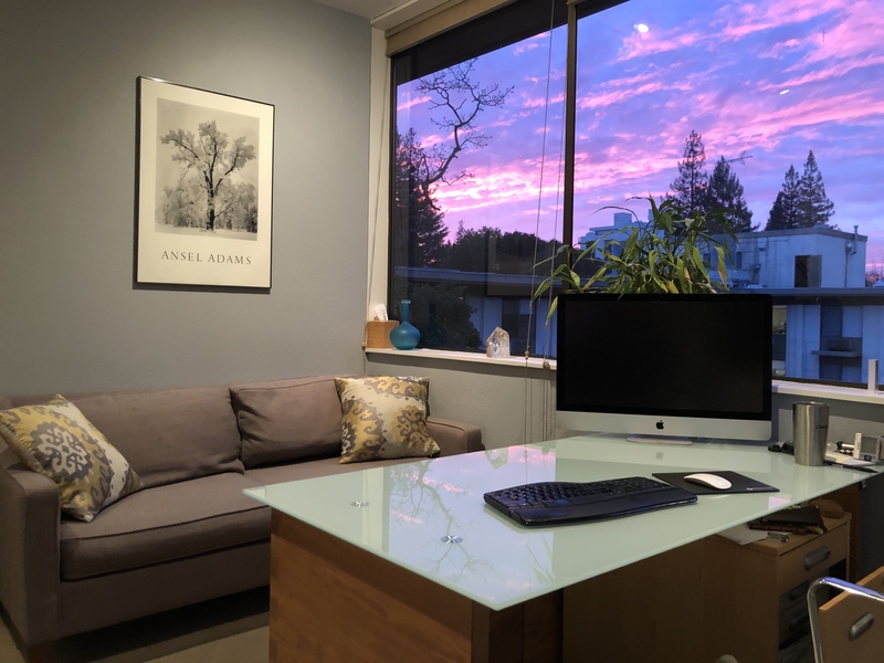 Menlo Park Psychiatry & Sleep Medicine, Alex Dimitriu, M.D. photo 2