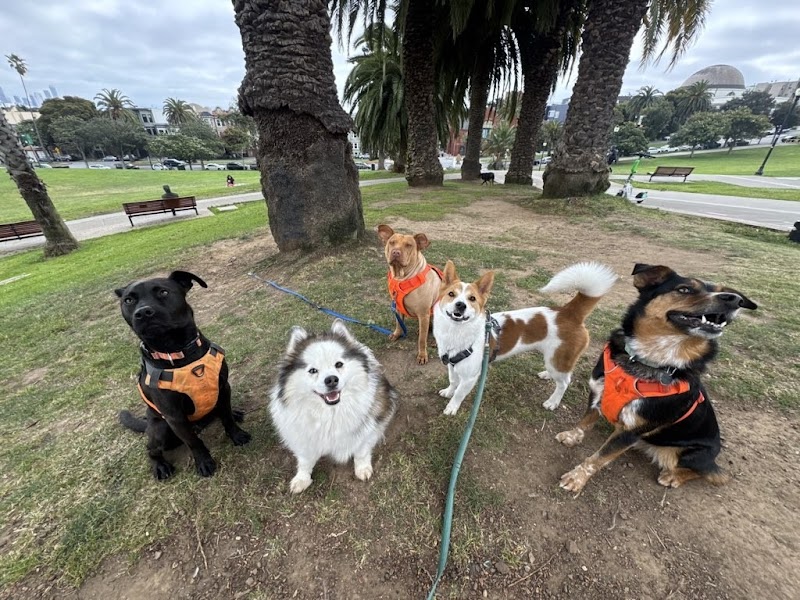 Walking Buddies photo 2