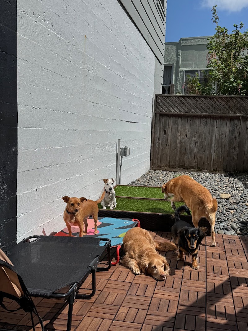 Photo of Walking Buddies