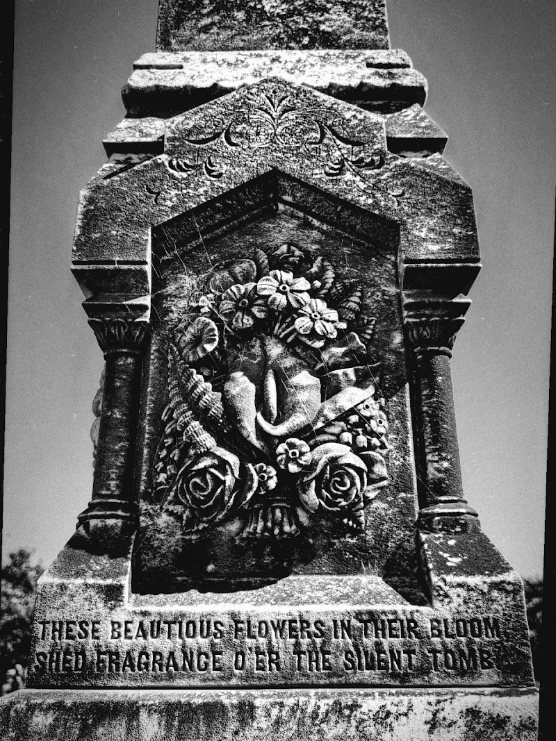 Mount Eden Cemetery photo 5