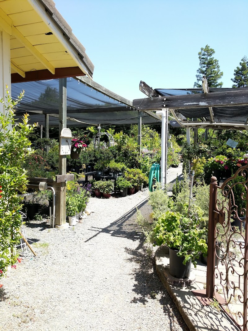 Photo of R & M Pool Patio & Gardens