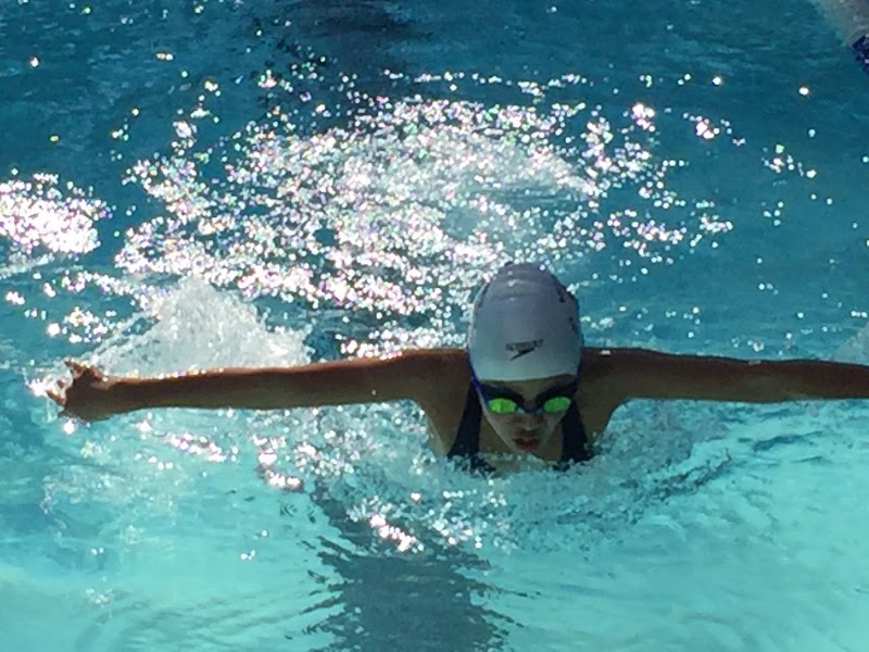 Daly City Dolphins Aquatics Club photo 2