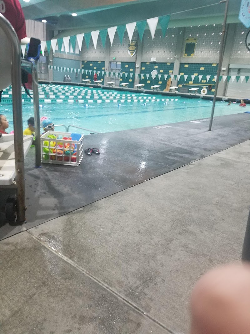 Photo of Daly City Dolphins Aquatics Club