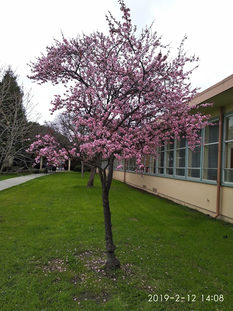 Arroyo High School photo 4