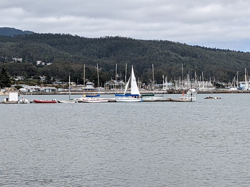 Photo of Pillar Point #7