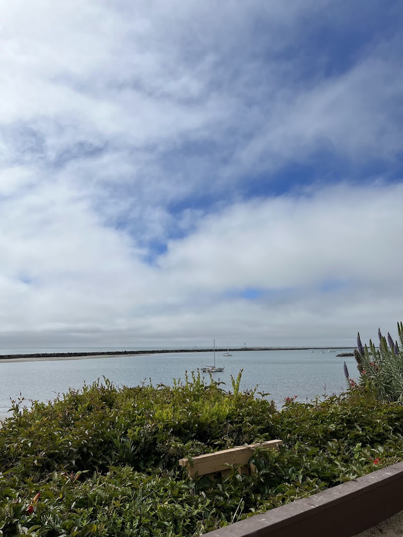 Pillar Point #7 photo 5