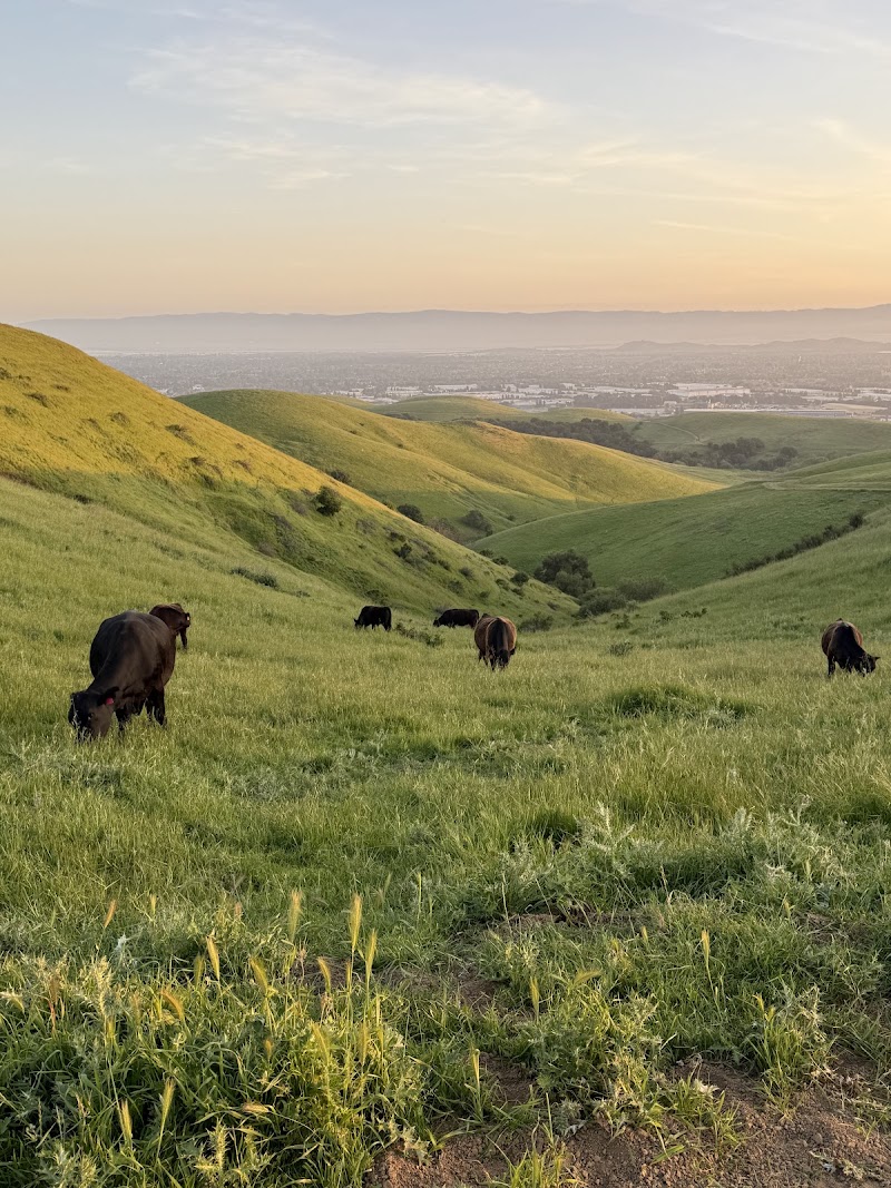 Garin Regional Park photo 4