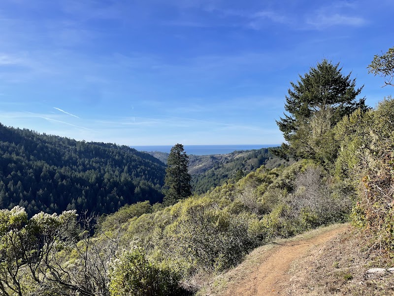 Purisima Creek Redwoods Open Space Preserve photo 3