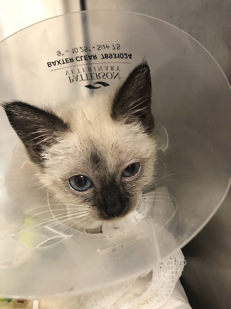 All 4 Paws Veterinary Hospital photo 4
