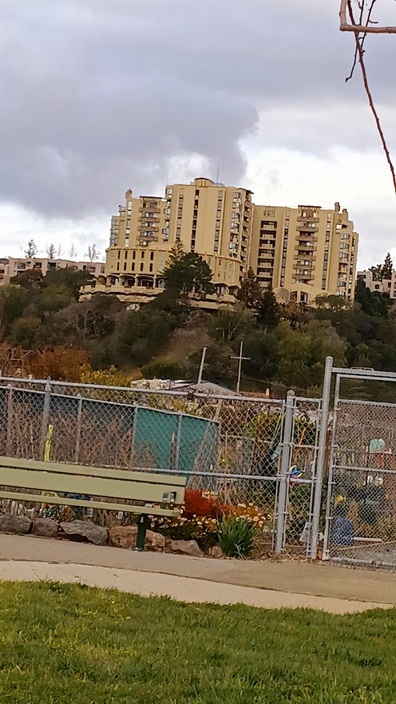 Photo of The Tamalpais Marin