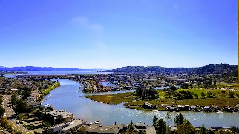 The Tamalpais Marin photo 5