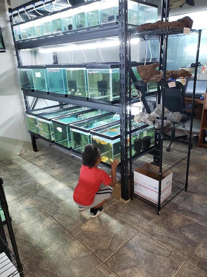 Tide & Stream Aquatics photo 3