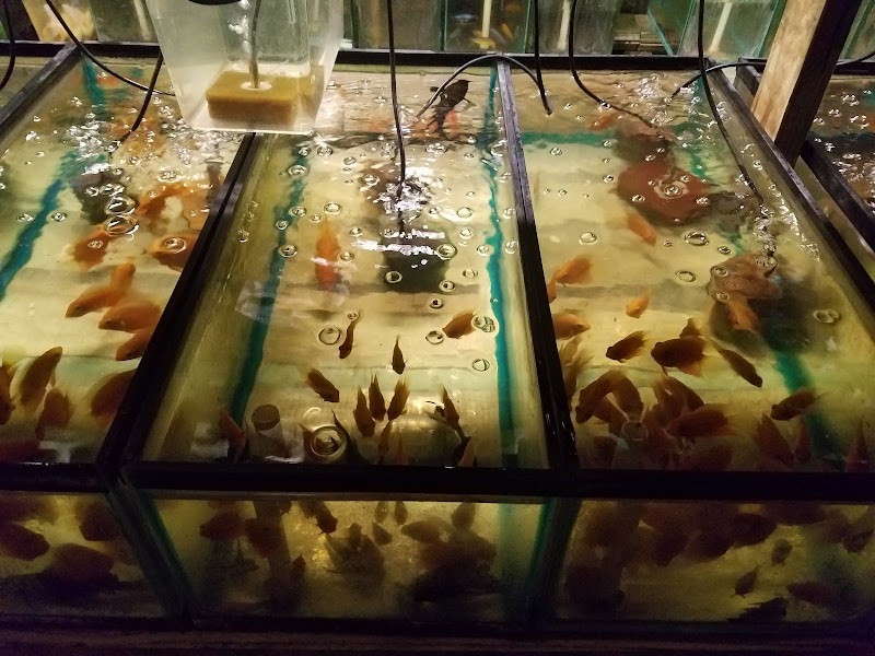 Tide & Stream Aquatics