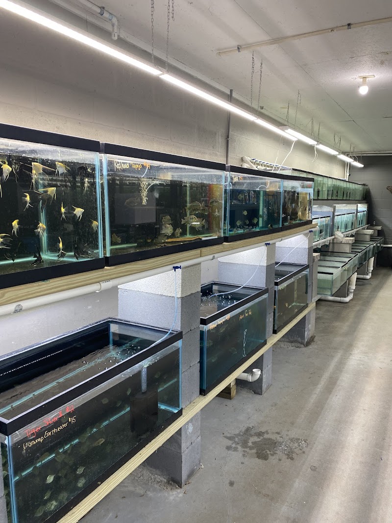 Tide & Stream Aquatics photo 5