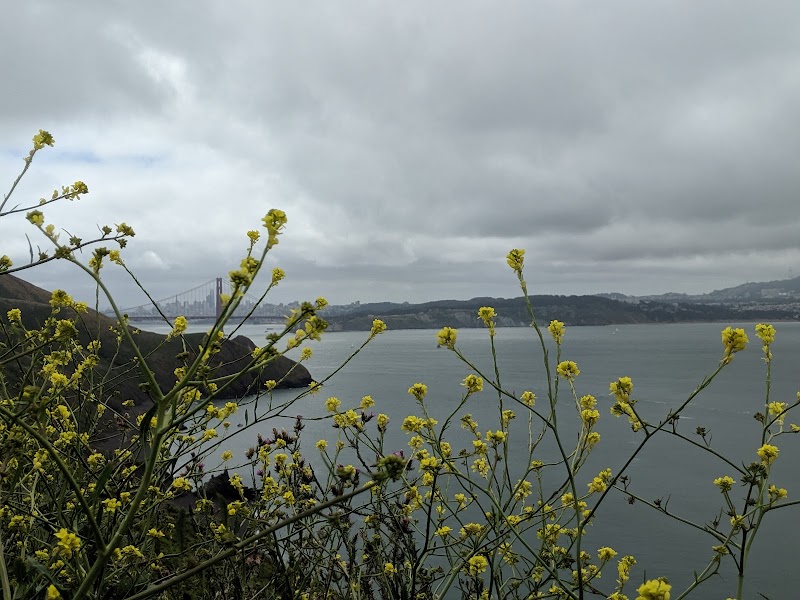 Battery Rathbone McIndoe photo 5