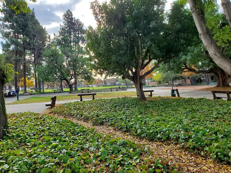 Birchfield Park photo 2