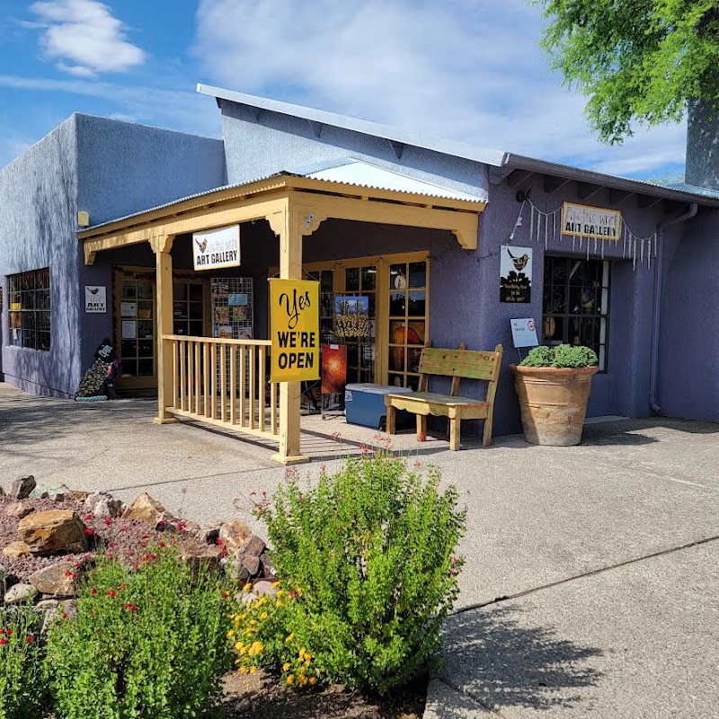 Photo of Cactus Wren Art Gallery & Nest