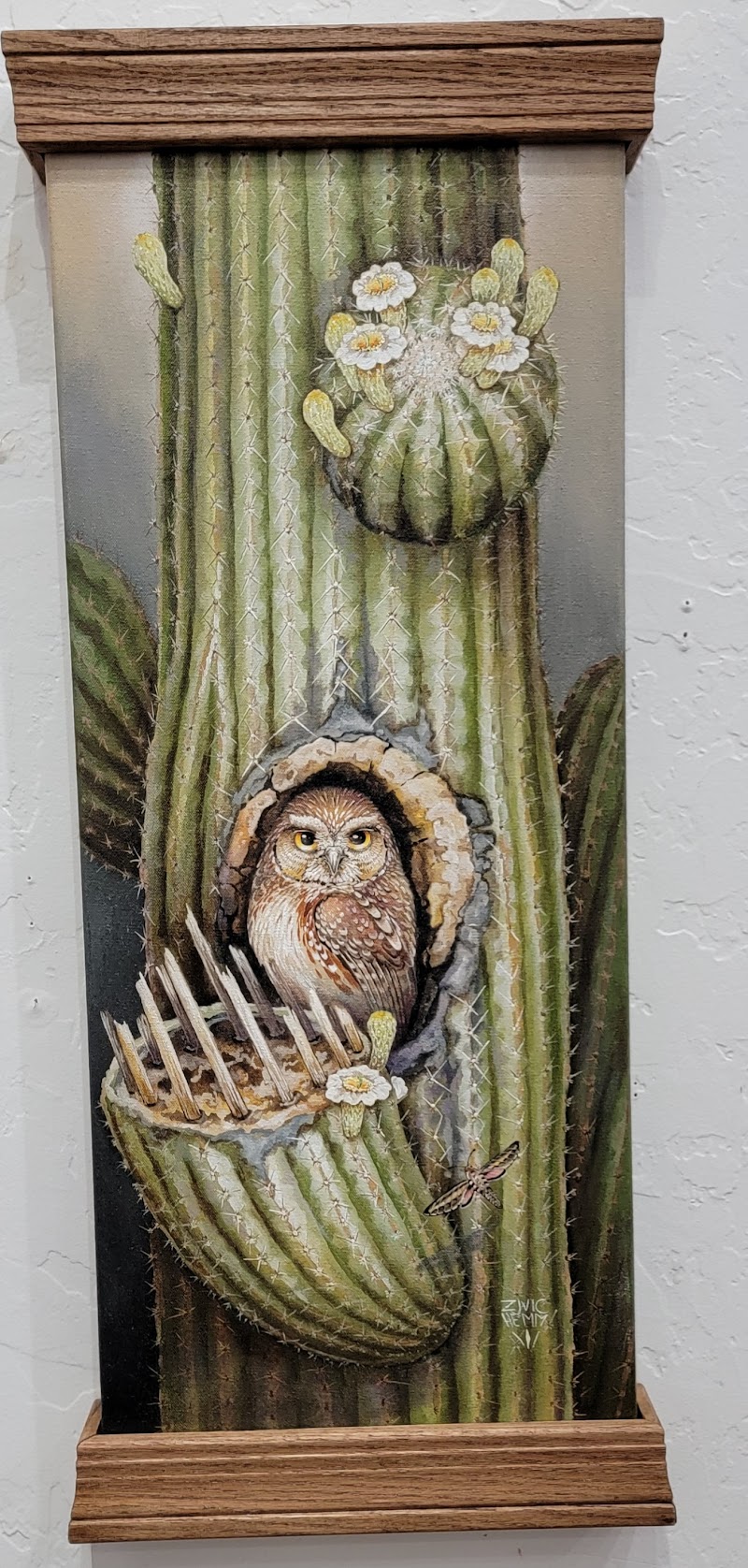 Cactus Wren Art Gallery & Nest photo 4