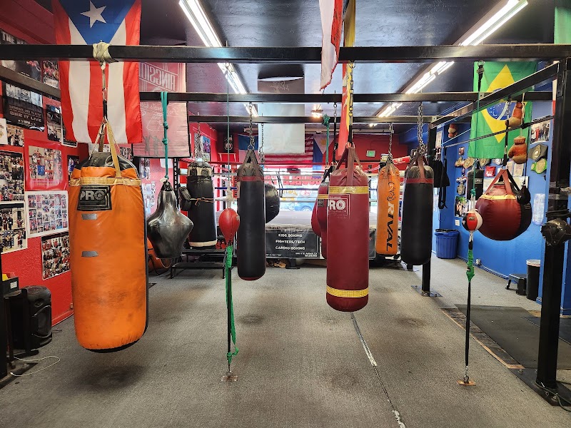 Photo of Double Trouble Boxing