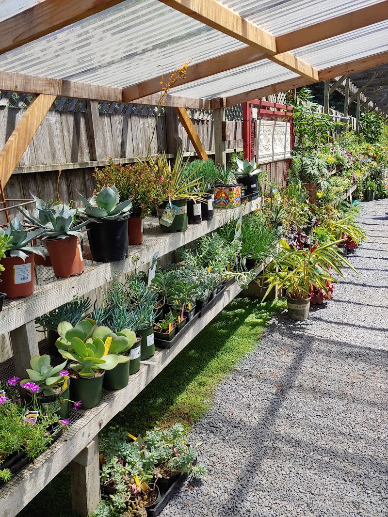 Harmony Farm Supply & Nursery photo 4