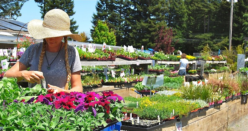 Harmony Farm Supply & Nursery photo 2