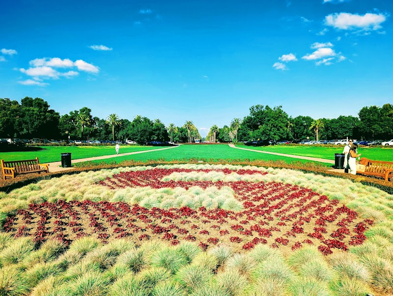 The Stanford Oval photo 5