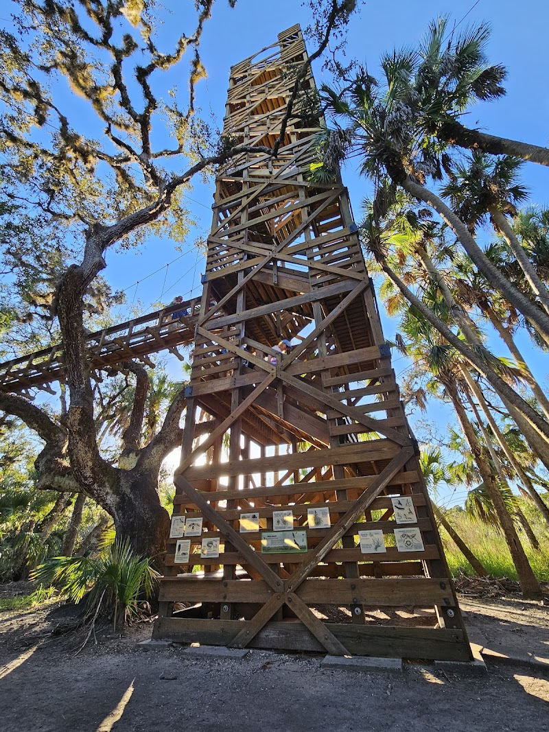 Photo of Myakka River State Park Big Flats Campground