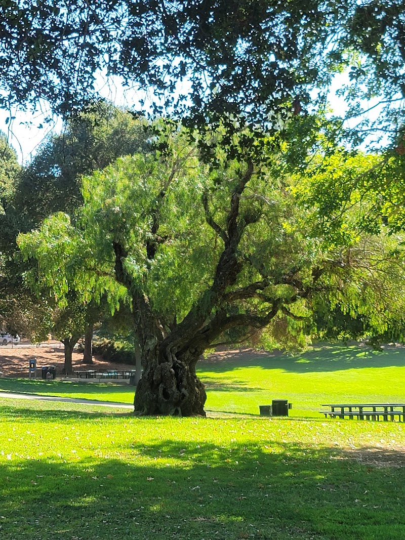 East Avenue Park photo 4