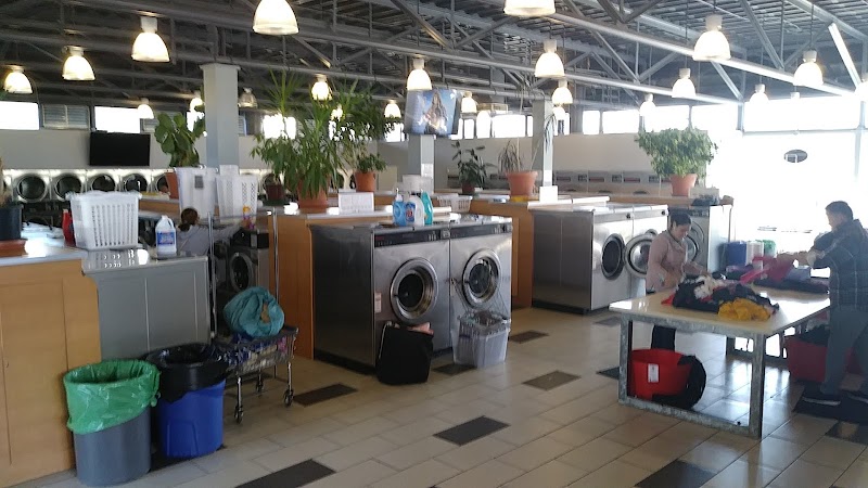 Maria's Wash N' Dry photo 4