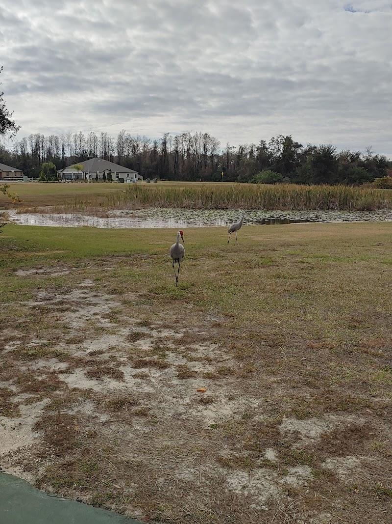 Lakeside Clubhouse Ammenity Center photo 4