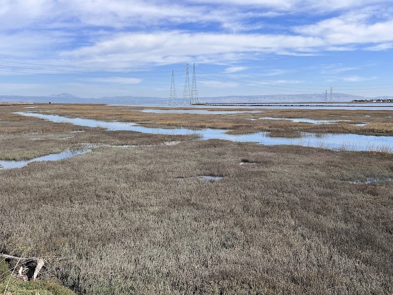 Restroom | Shorebird Park photo 4