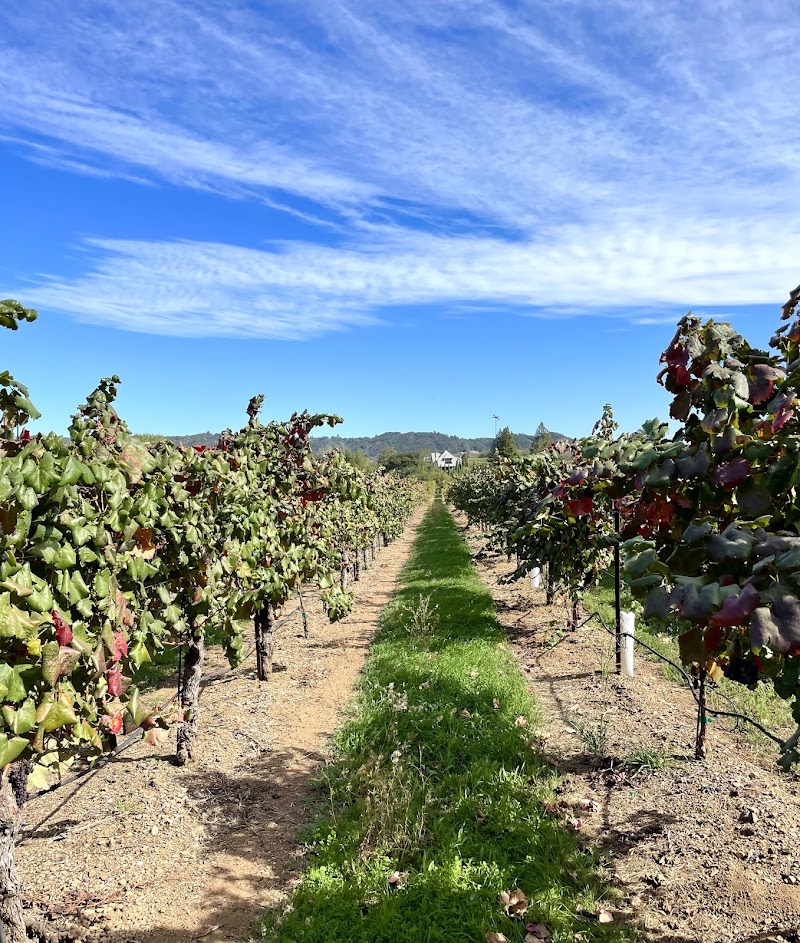 Dry Creek Vineyard photo 2