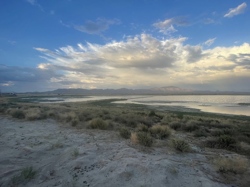 Lake Cochise Wildlife Viewing Area photo 2