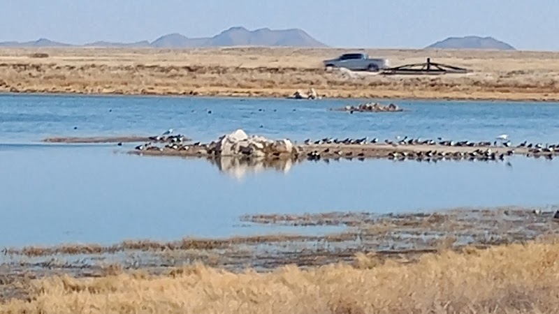 Lake Cochise Wildlife Viewing Area photo 3