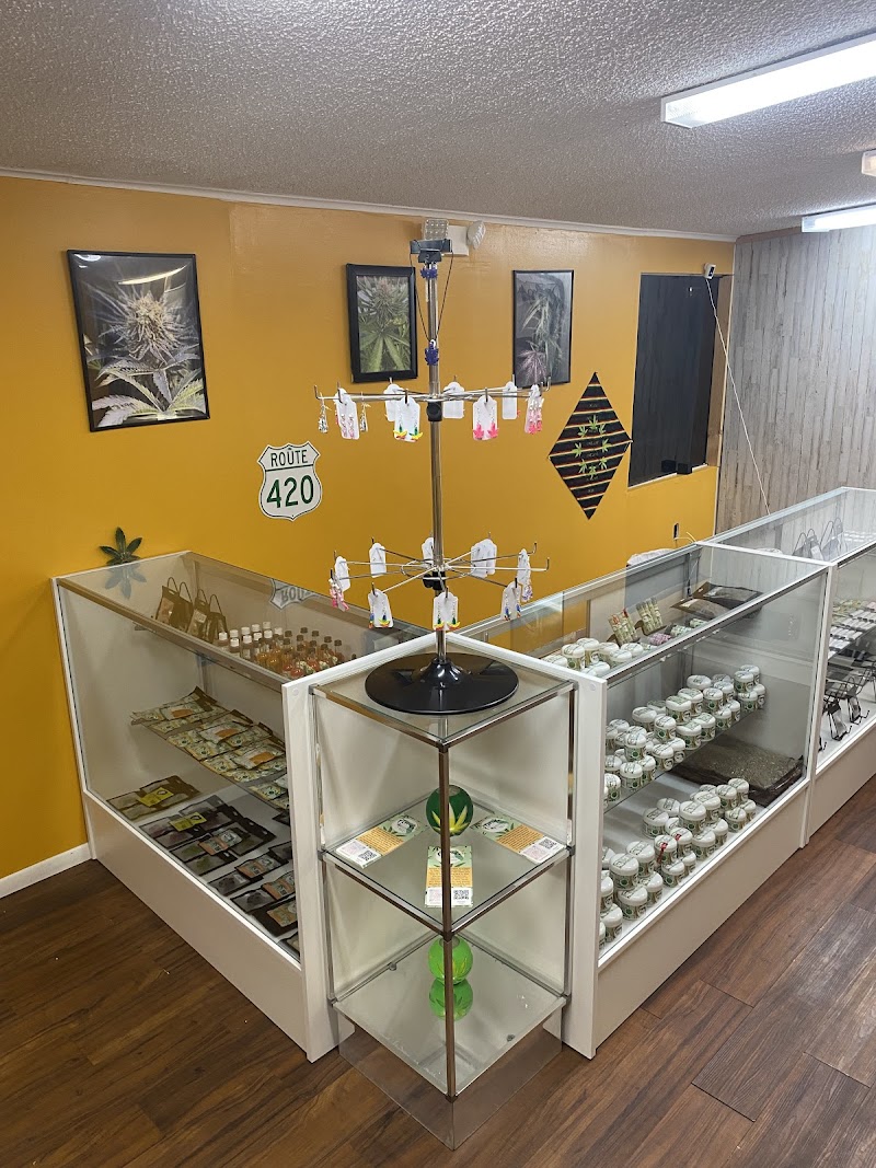 Florida Cannabis Supply Zephyrhills photo 2