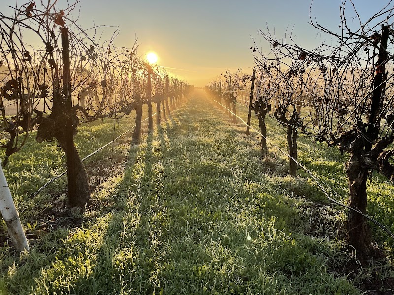 Photo of Rosalynd Winery