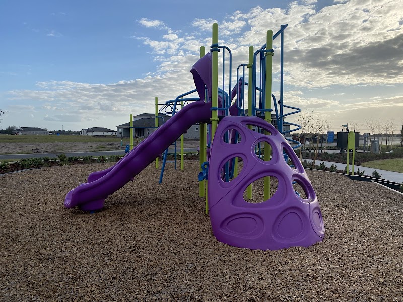 Damiani Park Center photo 2
