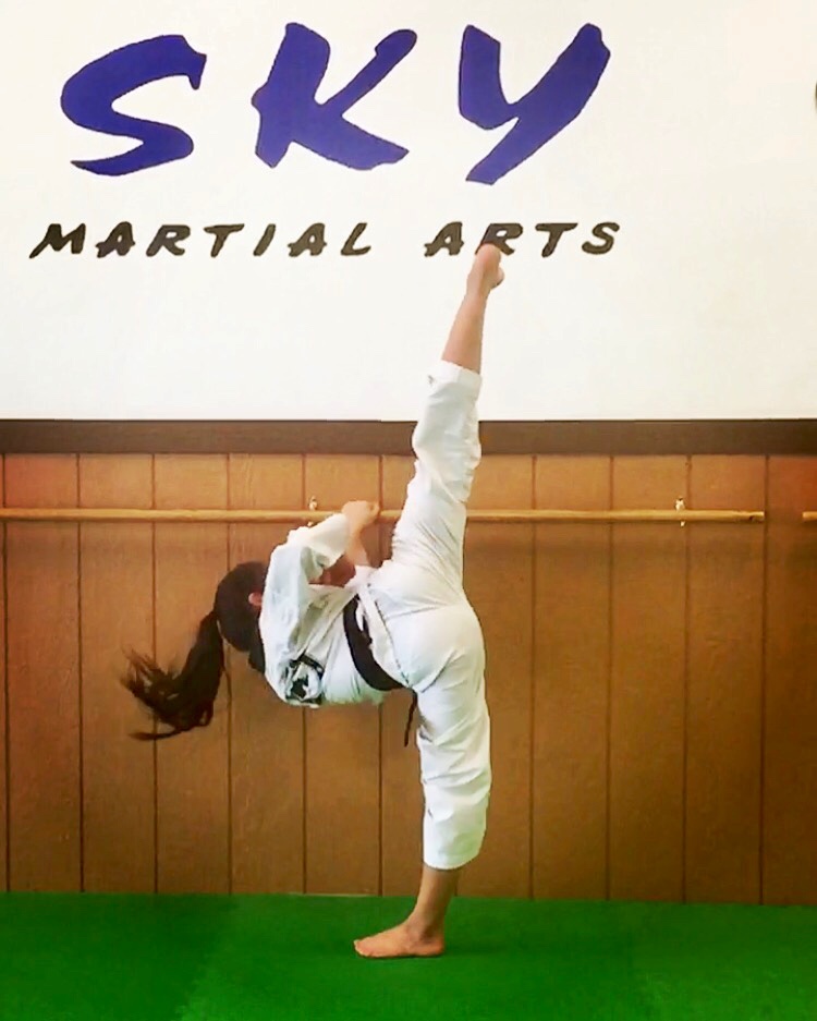 Sky Martial Arts - Dublin CA photo 4