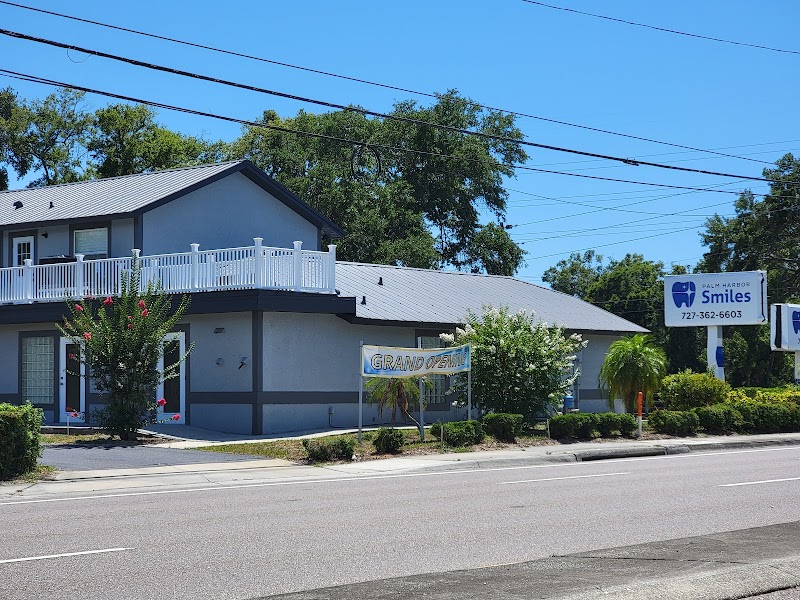 Palm Harbor Smiles photo 4