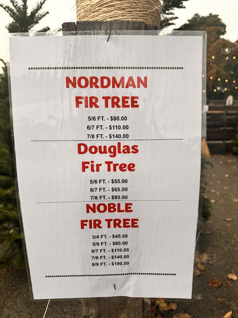 Museum of History Christmas Tree Lot Fundraiser photo 3