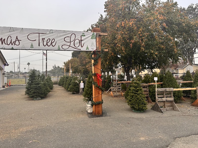 Photo of Museum of History Christmas Tree Lot Fundraiser