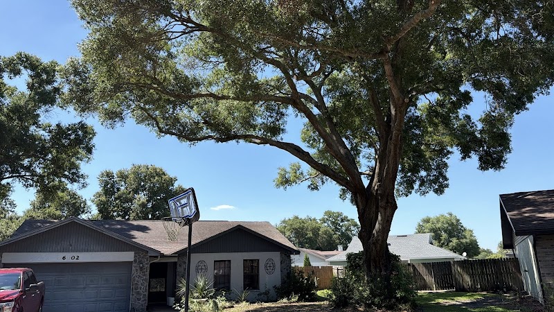 Photo of Precision Tree and Outdoor Services