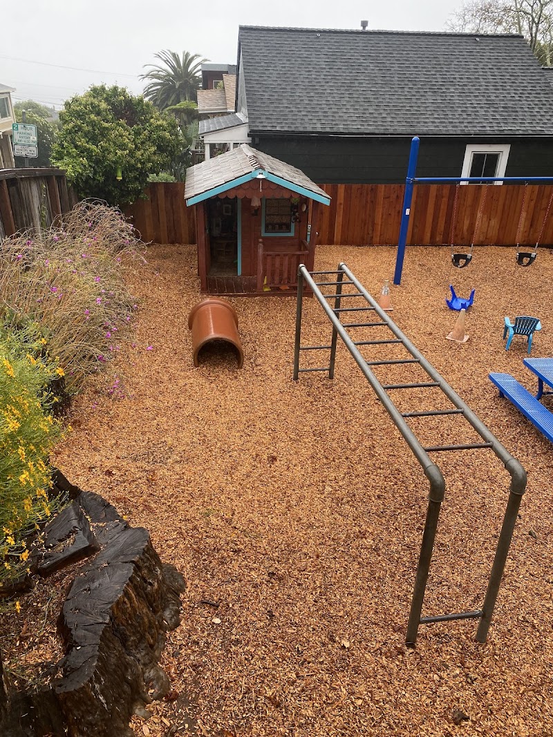 Sausalito Nursery School photo 5