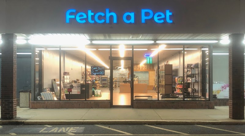 Photo of Fetch a Pet