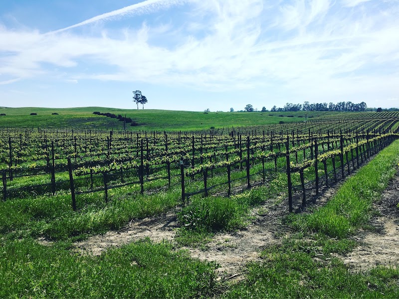 Starmont Wines at Merryvale photo 4