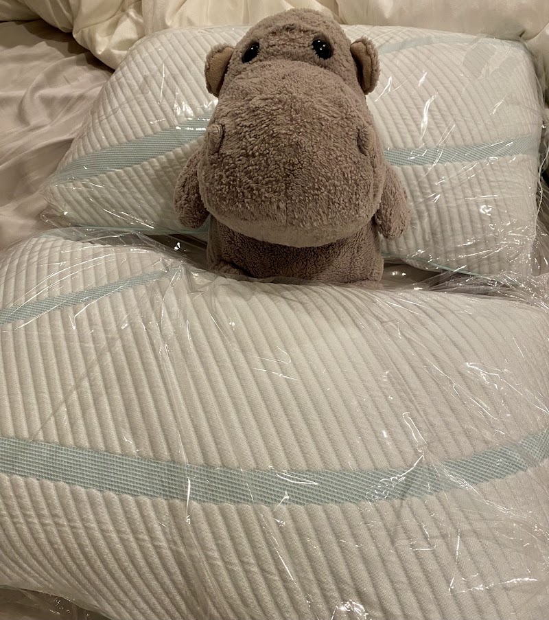Tempur-Pedic Flagship Store photo 4
